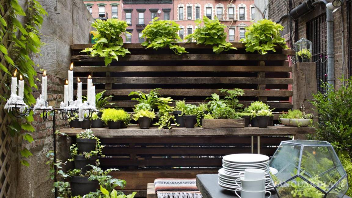 $!¿Te gustaría consumir productos naturales y cuidar el medio ambiente? ¡Haz tu propio huerto en casa!