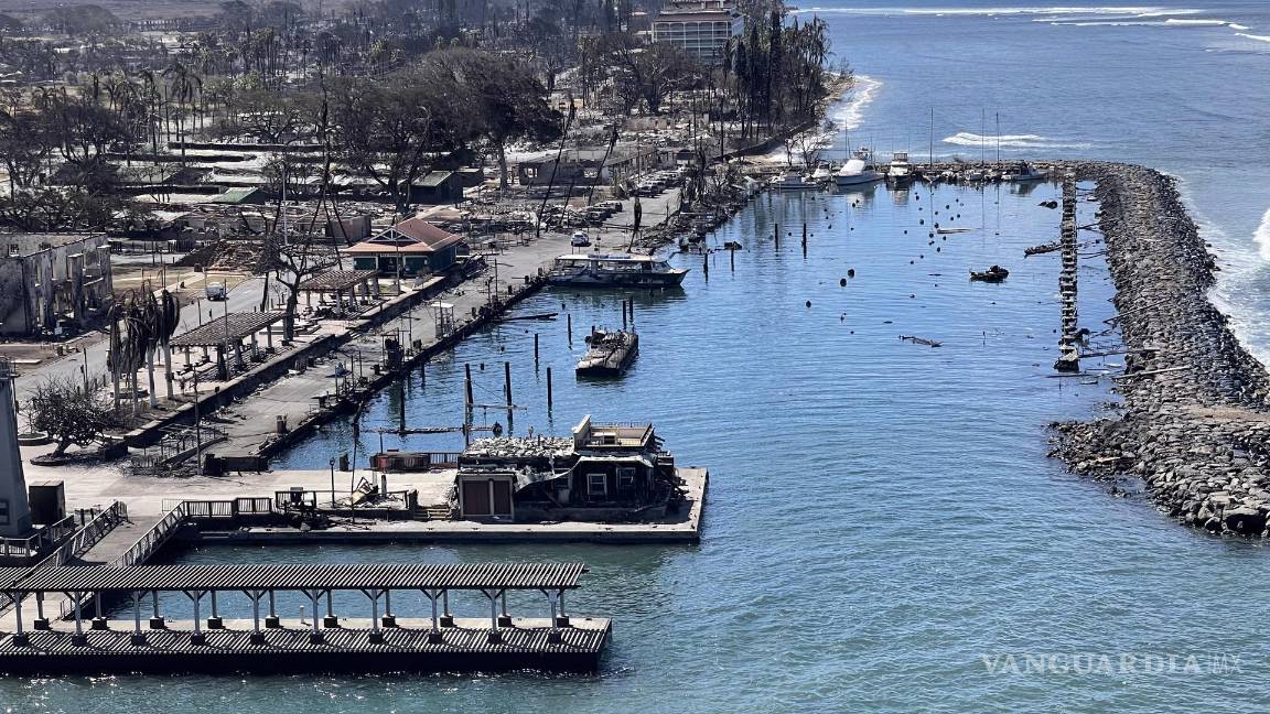 $!“Una gran ola vendría y nos aliviaría. Así que las olas, el océano, de verdad nos cuidaron”, aseguró Lisa Francis