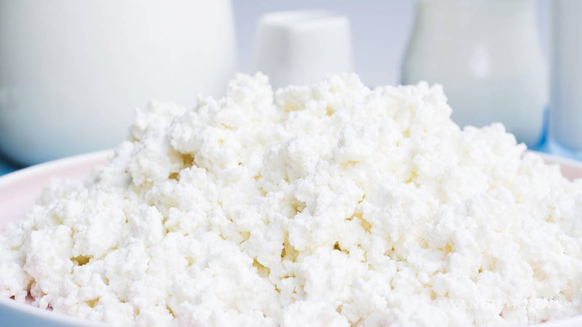 $!Estos microorganismos influyen directamente en la microbiota intestinal.