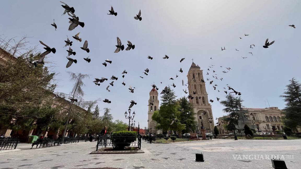 $!La Subsecretaría de Protección Civil de Coahuila emite recomendaciones ante el ingreso del Frente Frío Número 36 y la presencia de vientos fuertes.