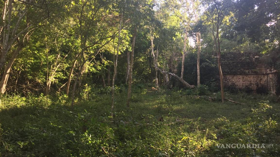 $!Kulubá, la ciudad maya que está en Yucatán recupera todo su esplendor