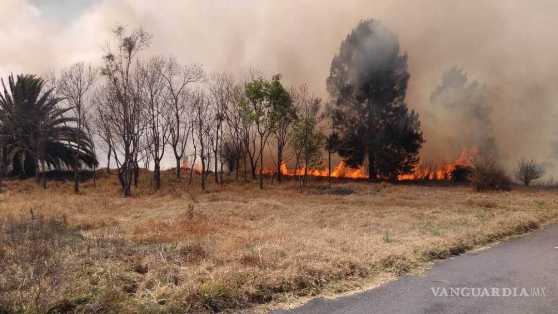 Incendio en Cuemanco: controla gobierno 70% del siniestro