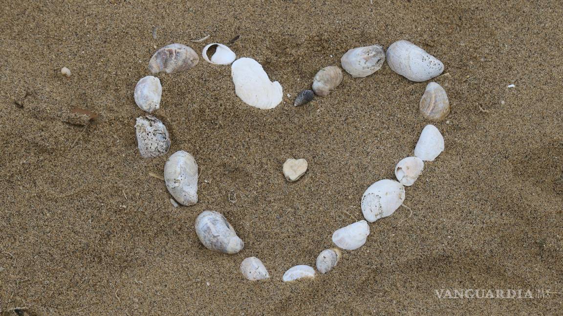 Cerca del 14 de febrero: Verbos que conjugan el amor y amistad