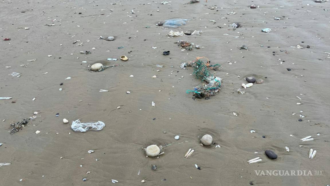 $!¿Estás bebiendo microplásticos con tu té? Estudio revela partículas peligrosas