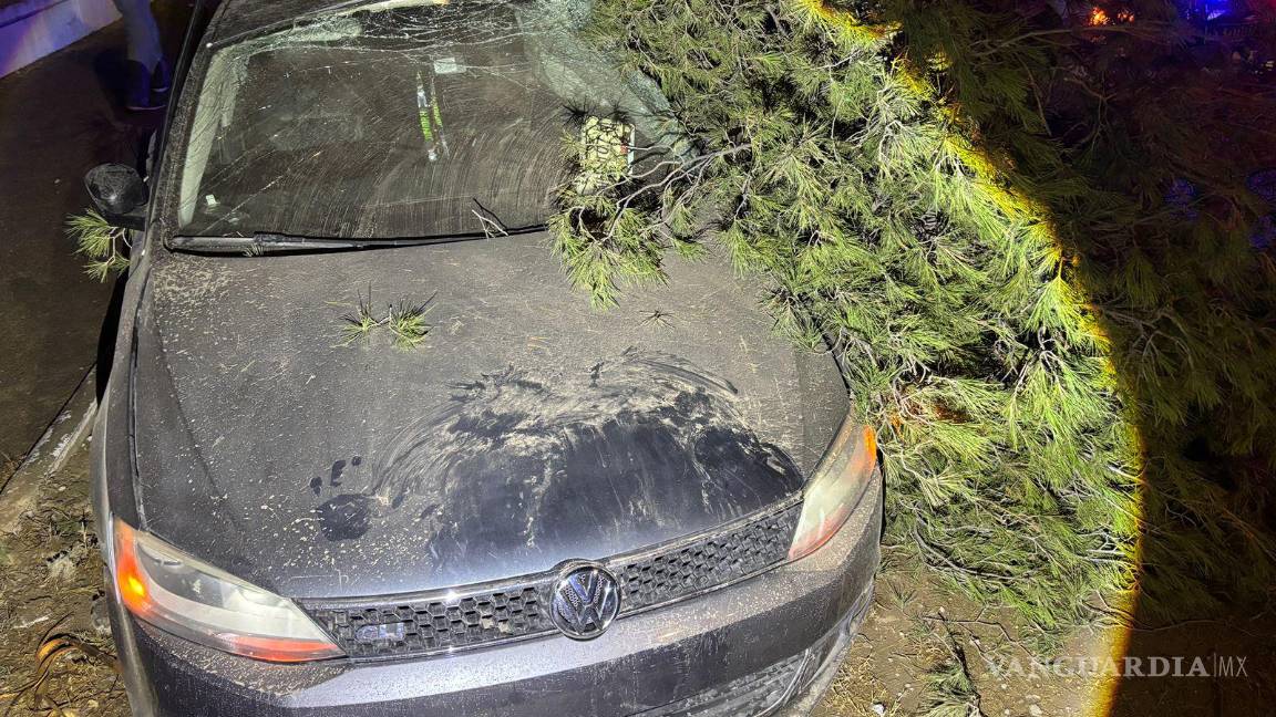 $!La unidad siniestrada fue remolcada hacia el corralón municipal.