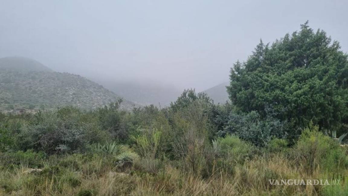 $!La Sierra de Zapalinamé, ubicada en el Sureste de Coahuila, forma parte de la Sierra Madre Oriental y sus relieves se crearon entre el período Jurásico Superior y el Cuaternario.