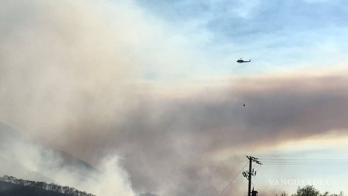 Suman 600 hectáreas dañadas por incendio en Arteaga; entra helicóptero de Nuevo León al quite