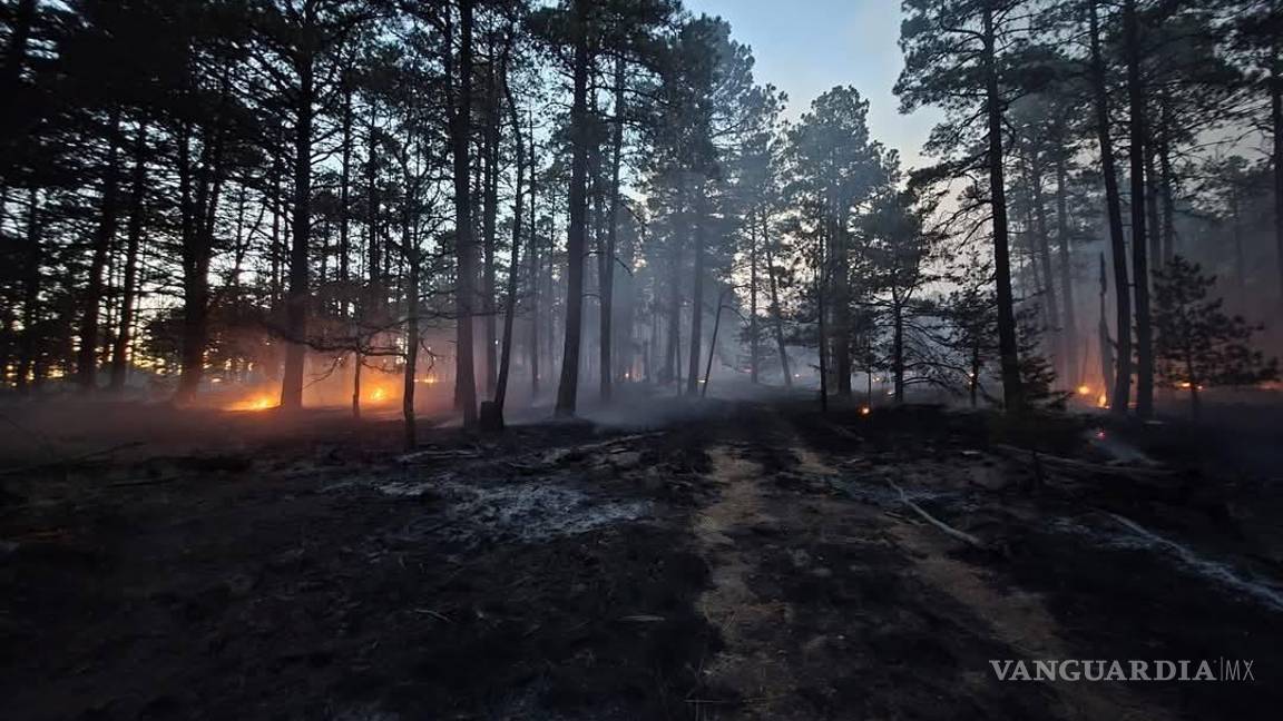 $!Aunque la nevada brindó un respiro momentáneo, las autoridades recalcaron que no es momento de bajar la guardia.