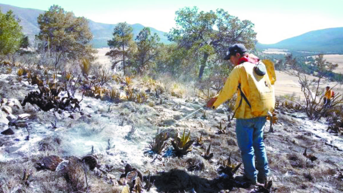 Apagado al 100% incendio forestal en ejido de Saltillo