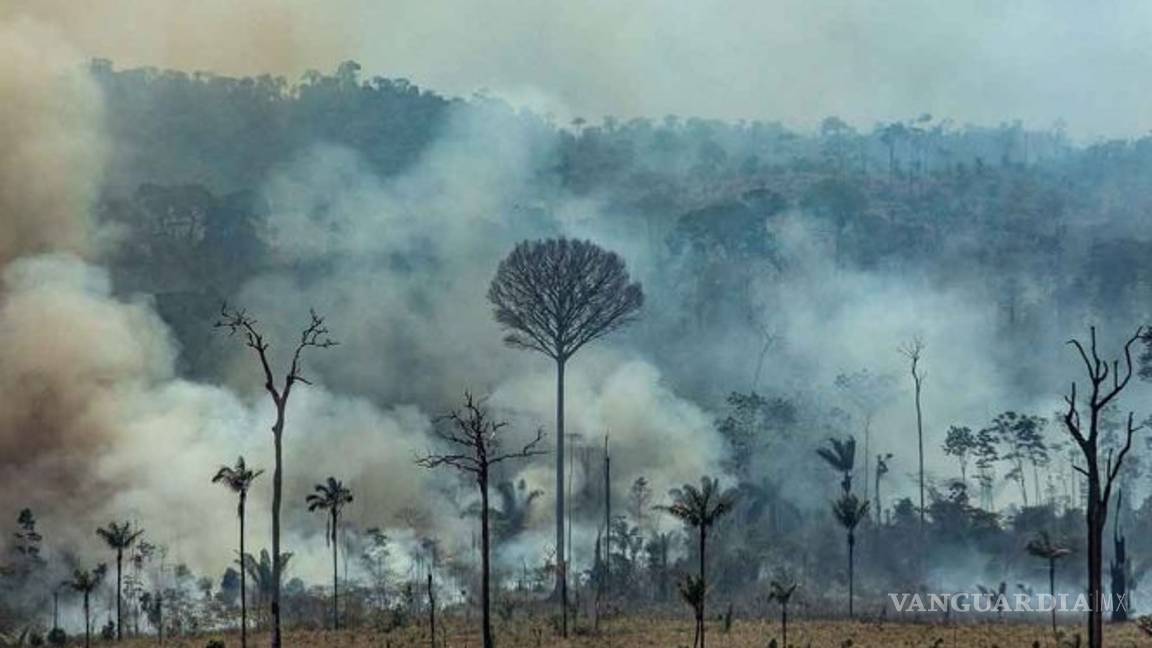 $!La Amazonia agoniza; presionan al presidente de Brasil, Jair Bolsonaro