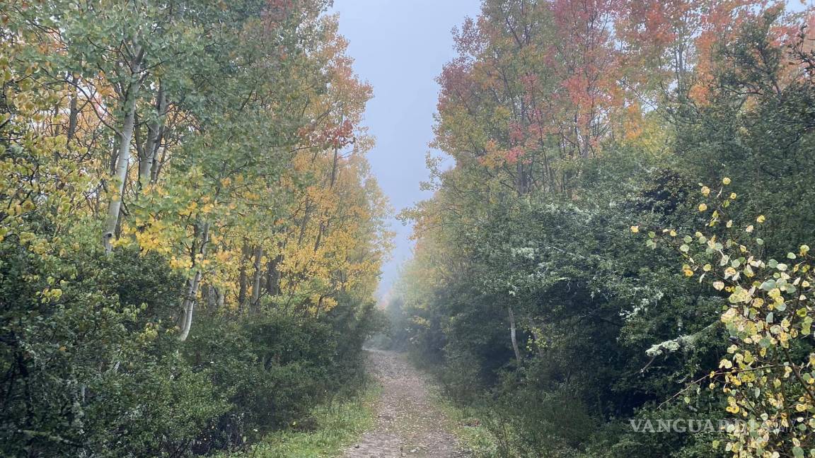 $!Sendero ubicado en la Sierra de la Marta.