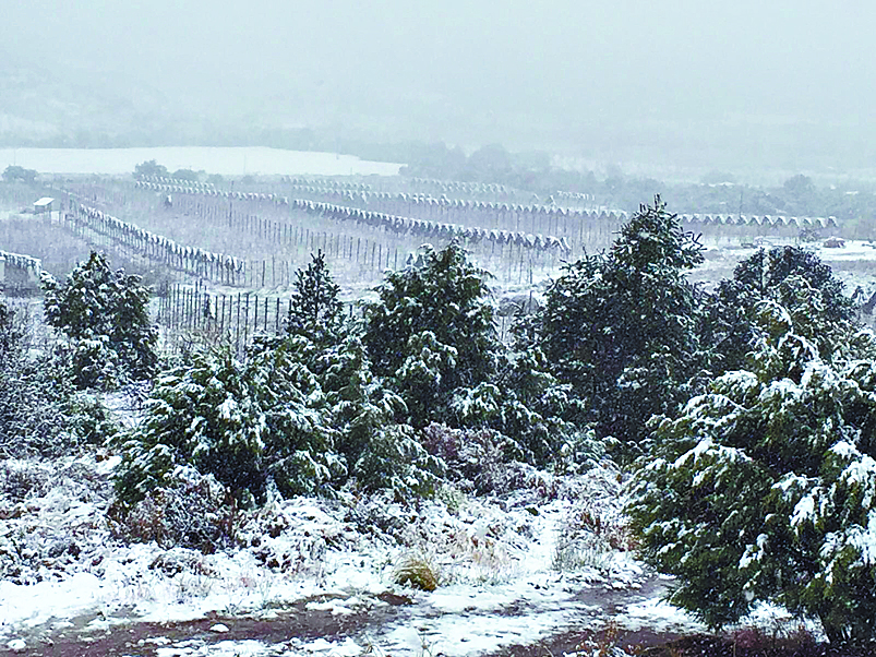 A días de la primavera... ¡nieva en Arteaga!