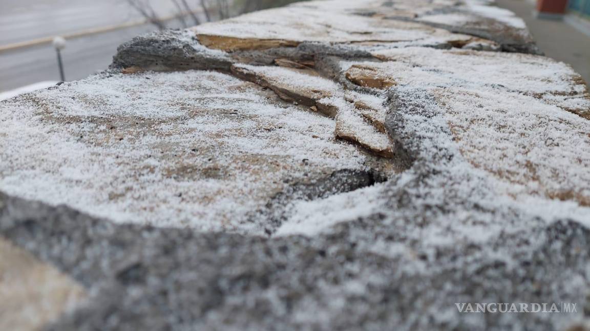 $!Se pronostica que la caída de aguanieve continúe durante las próximas horas.