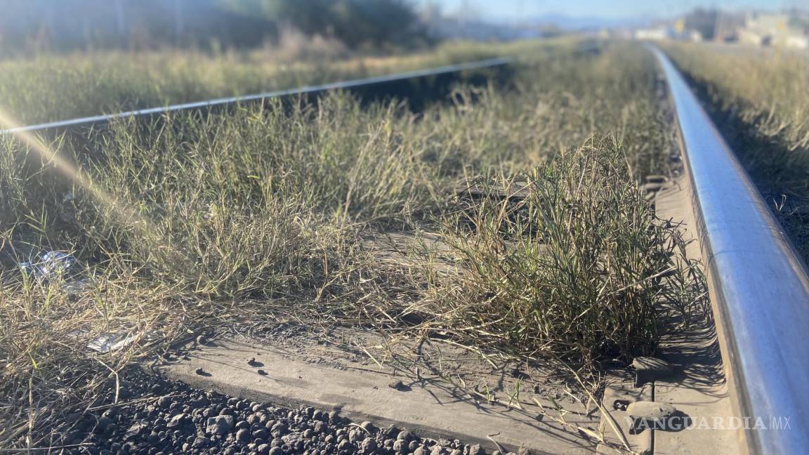 Encuentran a hombre sin vida sobre vías del ferrocarril en la carretera Monclova-Sabinas