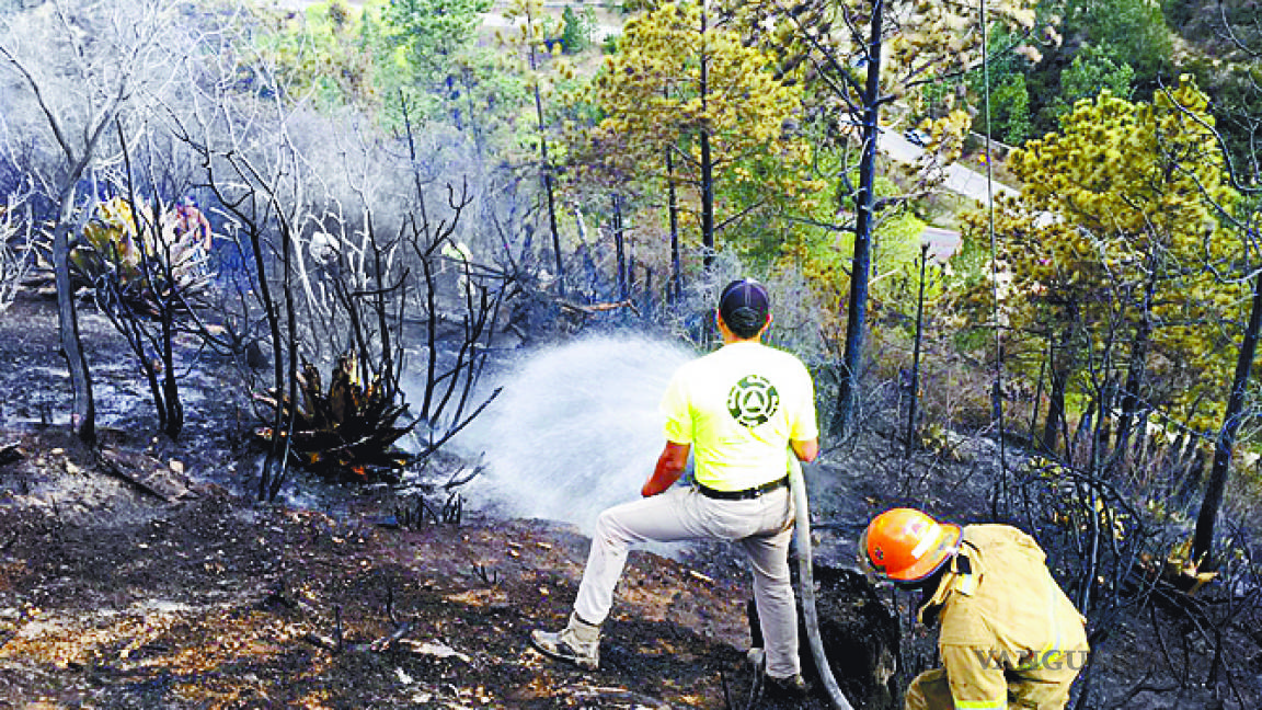 Mantendrá Conafor Coahuila programa de combate a incendios forestales