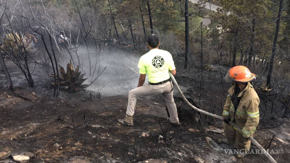 En lo que va del año 70 incendios forestales se han registrado en Coahuila
