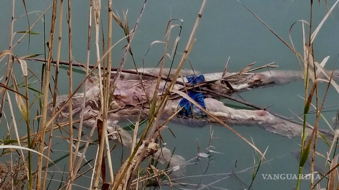 En Jiménez, Coahuila, hombre se ahoga en el Río Bravo