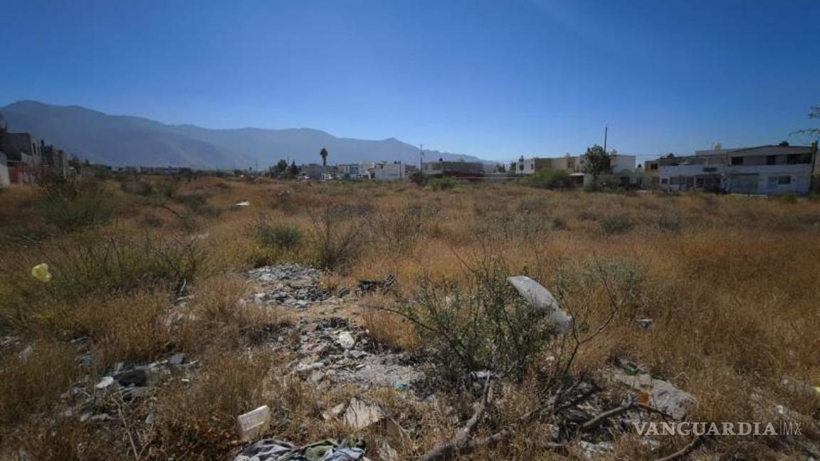 $!Autoridades municipales pueden aplicar sanciones de hasta 50 salarios mínimos a quienes incumplan con el mantenimiento de sus terrenos.