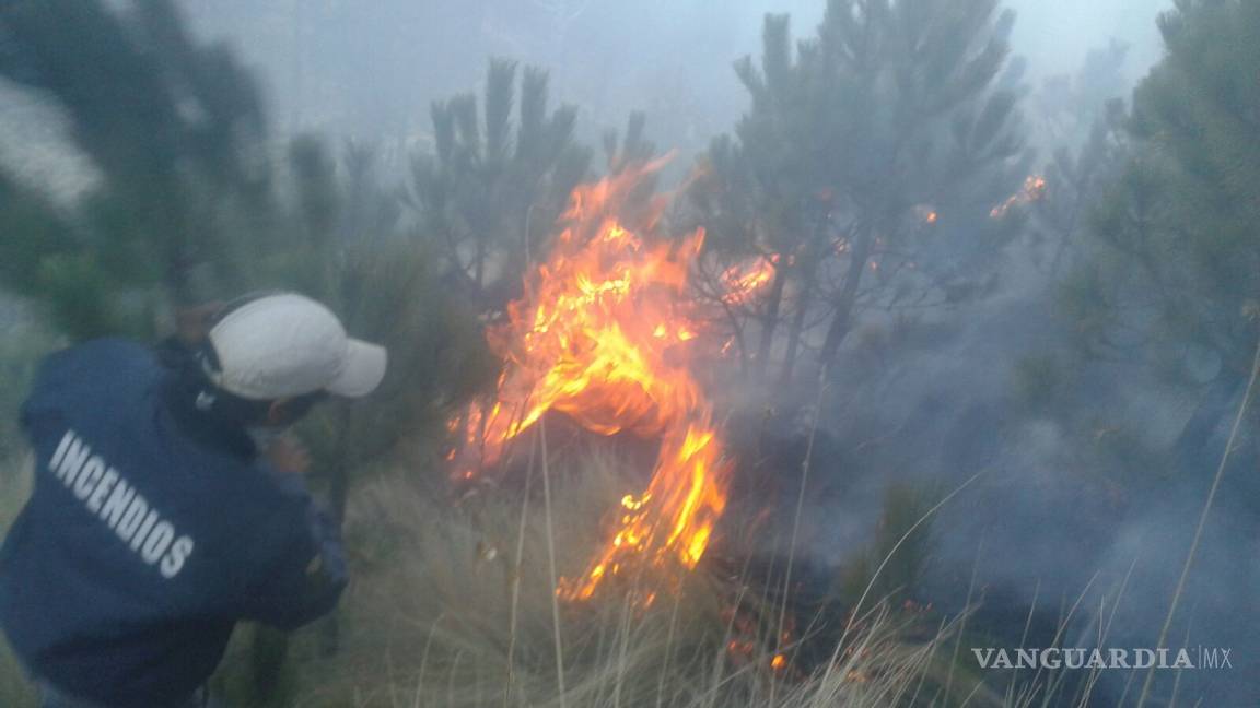 Reportan dos incendios en el Parque Nacional Pico de Orizaba