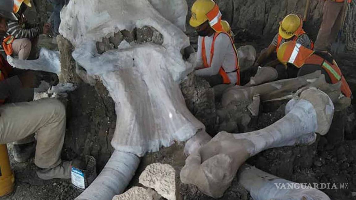 Santa Lucía, una 'central de mamuts': encuentran 200 esqueletos... y podría haber muchos más