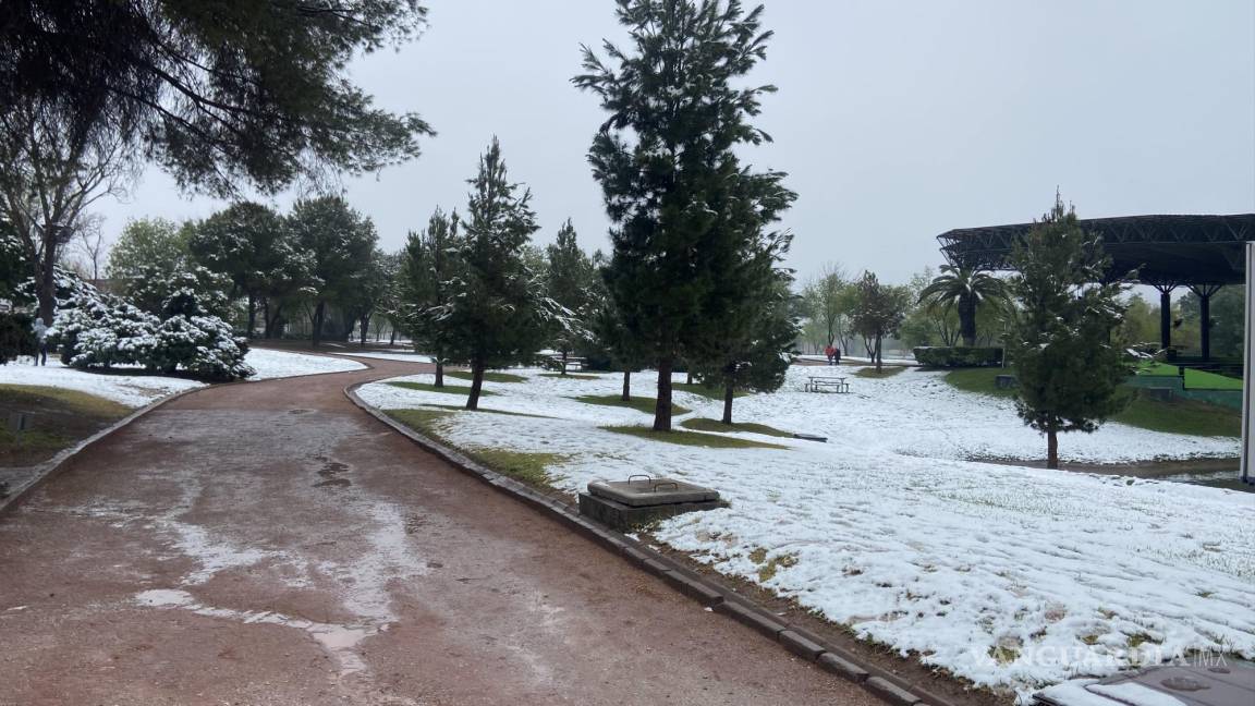 Reporta Municipio saldo blanco tras nevada en Monclova