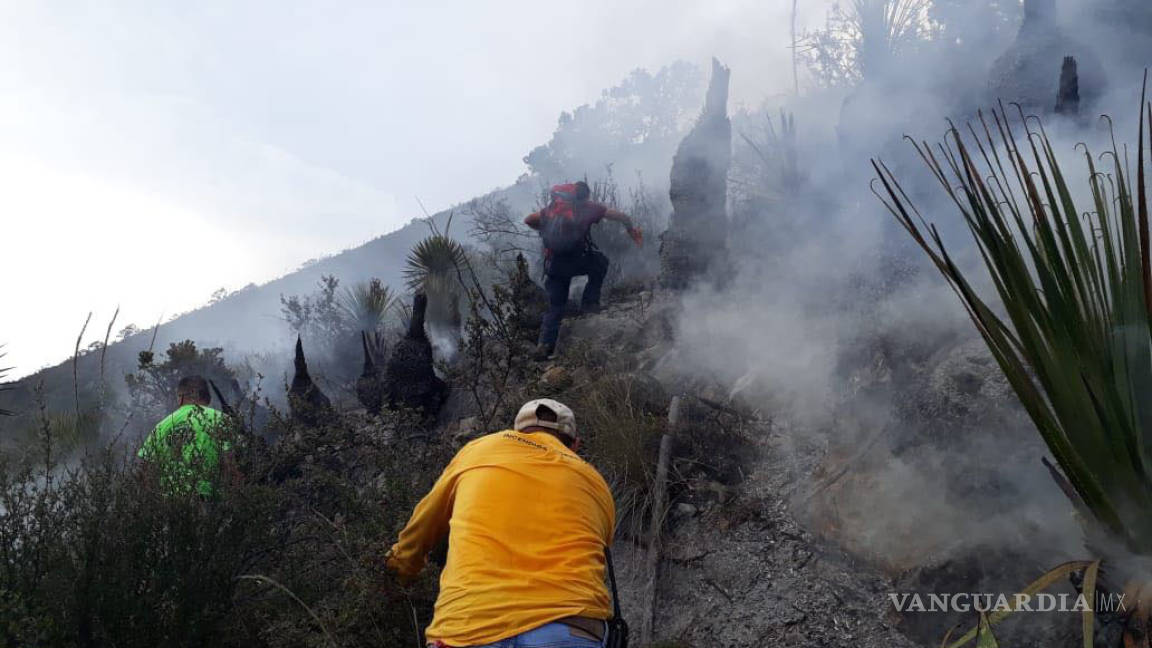 Apagan incendio en Sierra de Arteaga