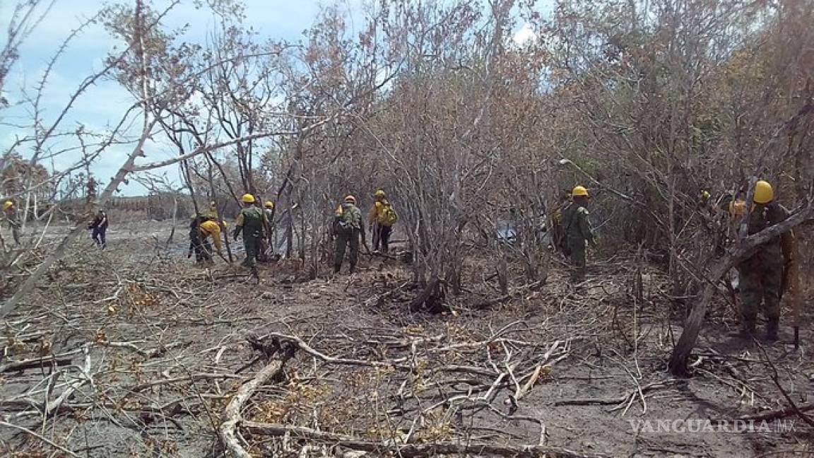 Incendio en reserva Sian Ka'an en Quintana Roo, controlado al 80%