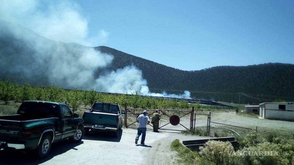 Se registra incendio forestal en Arteaga, fue controlado