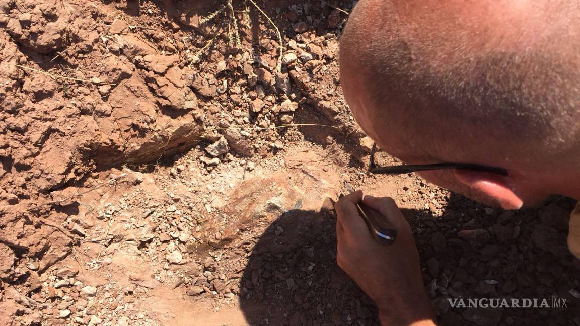 $!El científico Grégoire Métais durante una excavación.