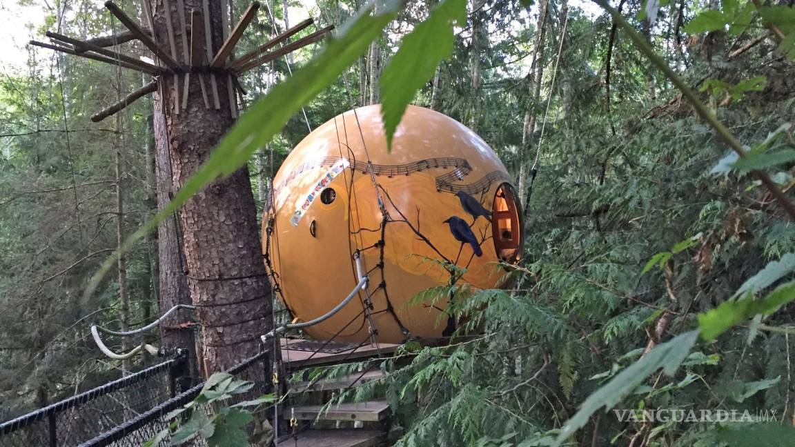 $!Estos son los hoteles más curiosos