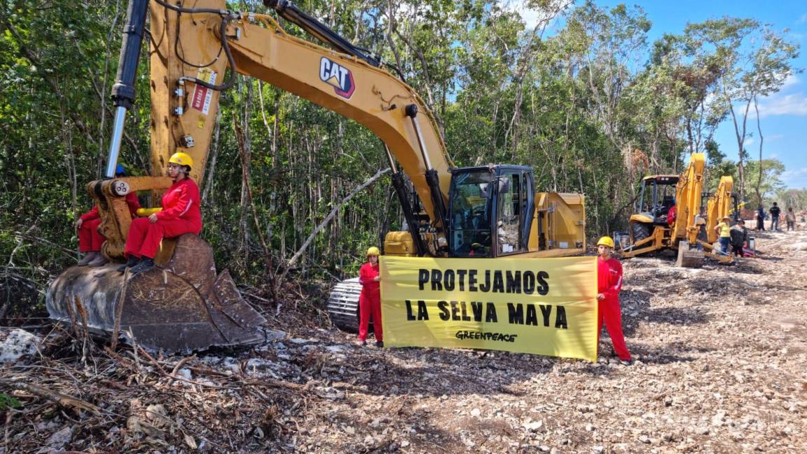 Clama Greenpeace a AMLO suspenda construcción del Tren Maya en el tramo 5 por poner en riesgo flora y fauna