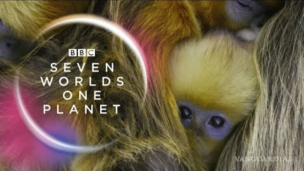 Sia colabora con Hans Zimmer en la producción de BBC, Seven Worlds One Planet