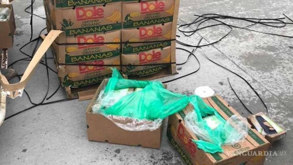 Donan cargamento de plátanos a una cárcel, pero traía cocaína oculta