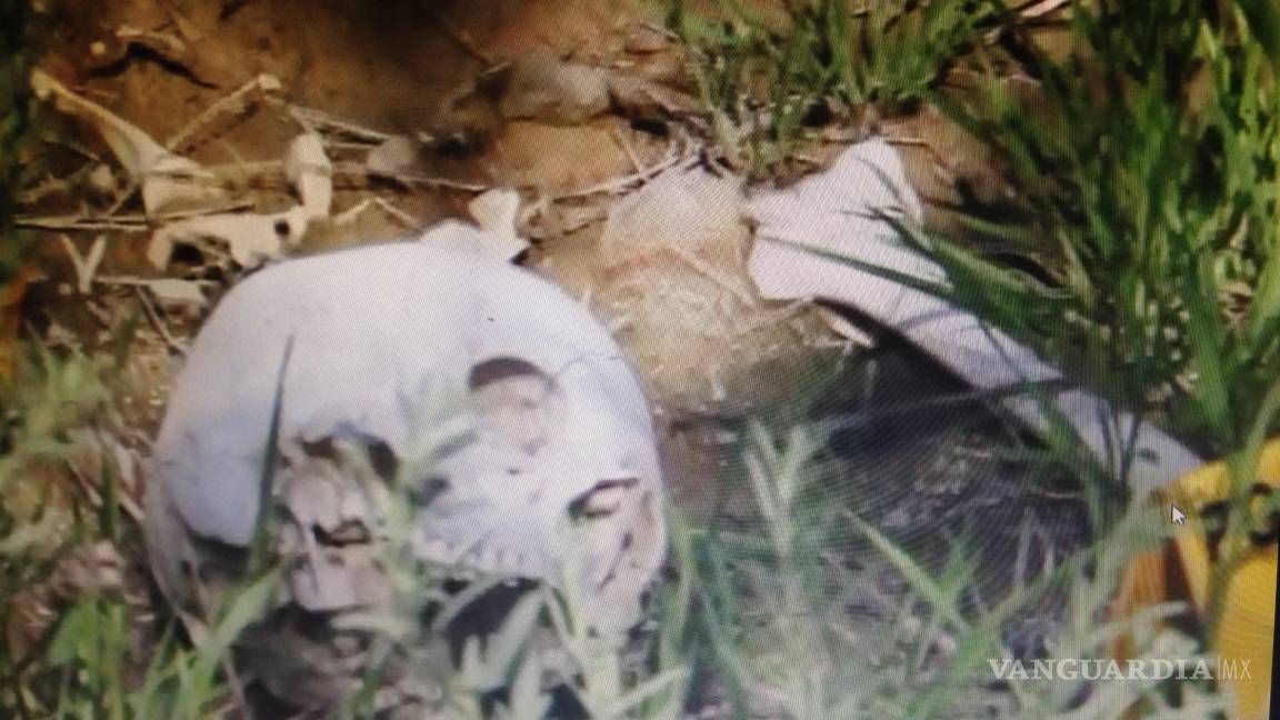 Cráneo hallado en Sierra de Zapalinamé de Saltillo no presenta orificios de bala