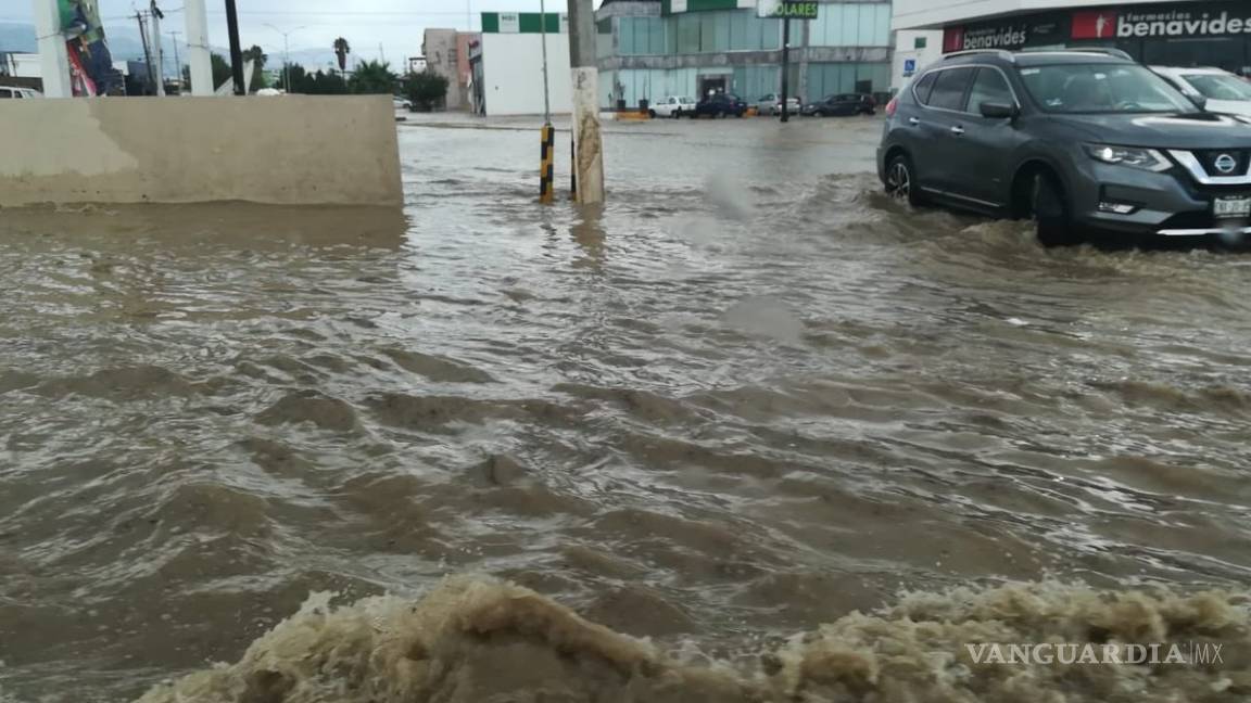 $!Tromba causa caos en norte de Saltillo; caen árboles y panorámicos