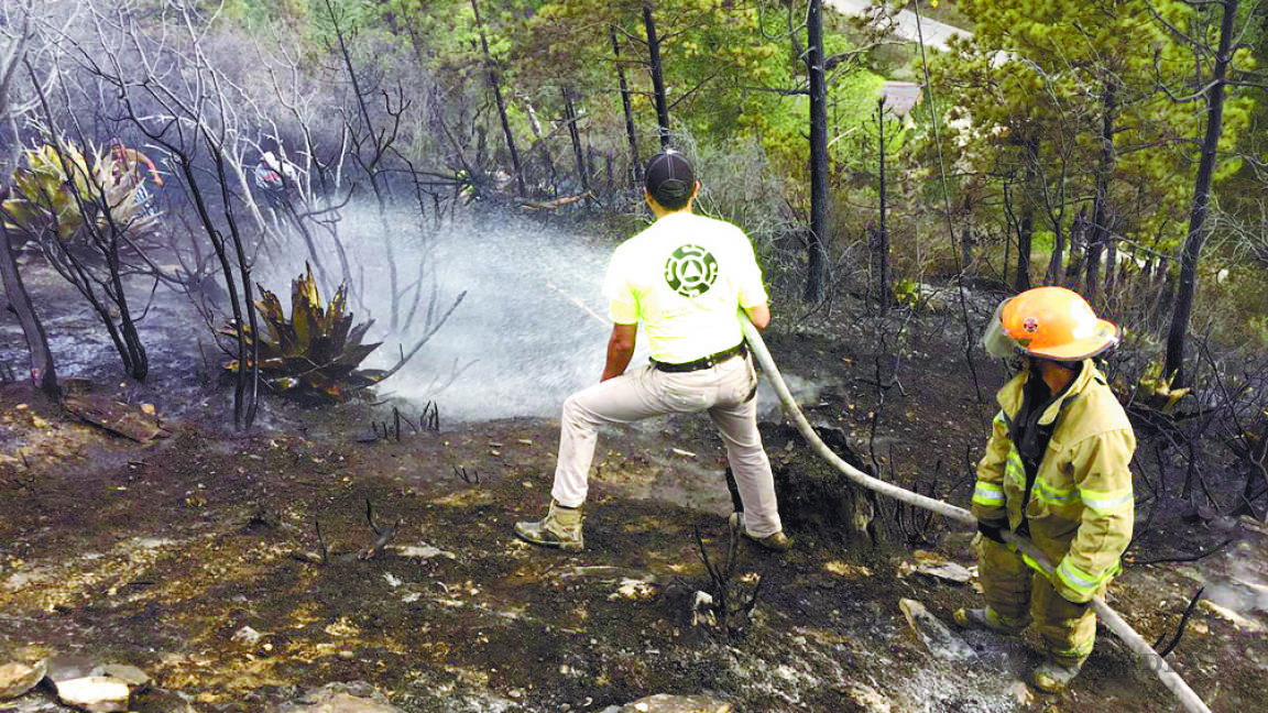 Será una temporada crítica de incendios forestales en Coahuila: Conafor