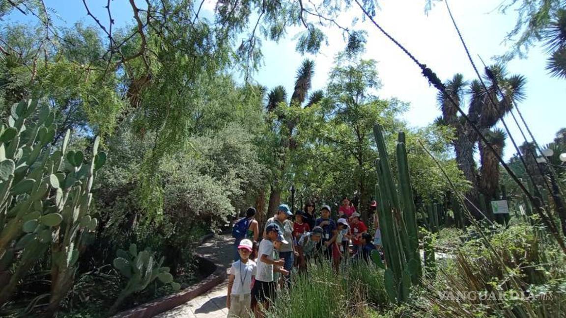 $!El Parque Ecológico El Chapulín es un sitio fundamental para el esparcimiento y la educación ambiental.