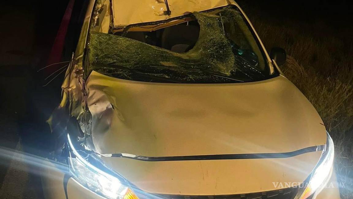 Fallece caballo atropellado en carretera a Monclova; auto queda desecho