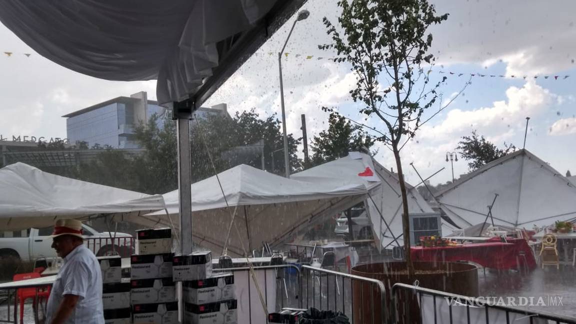 $!Tromba causa caos en norte de Saltillo; caen árboles y panorámicos