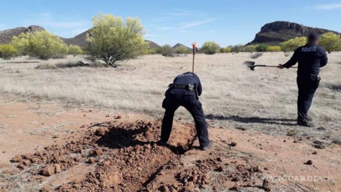 Policía Federal destruye pista de aviación clandestina en Sonora