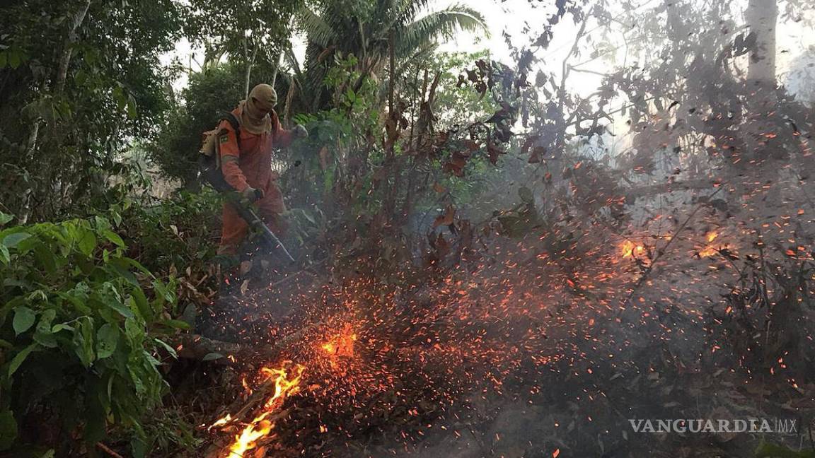 México ofrece ayuda para combatir los catastróficos incendios en el Amazonas