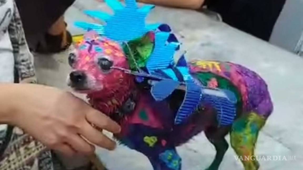 Pintó a su perro como un alebrije, pensó que hacía algo gracioso.... pero la llueven críticas en redes sociales