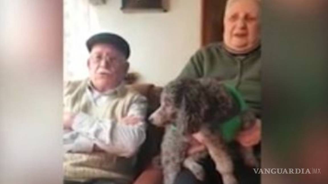 Jubilados ofrecieron su pensión para recuperar a su perrita