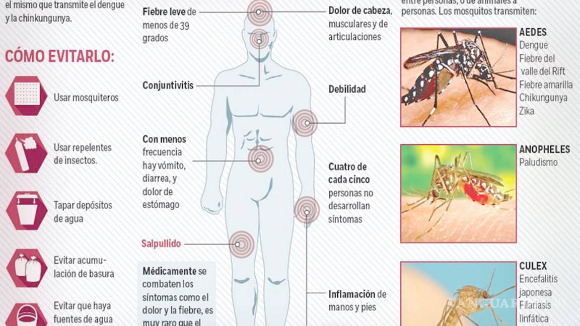 $!El zika se volverá endémico en América Latina: científicos