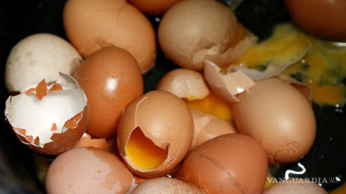 Alarma en Europa por huevos contaminados