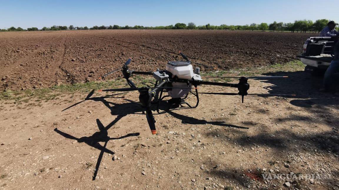 En rancho de Jiménez, Coahuila, siembran diez hectáreas de sorgo utilizando un dron