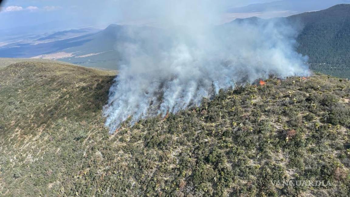 Suman 16 hectáreas afectadas en Huachichil por incendio en la Sierra de Arteaga