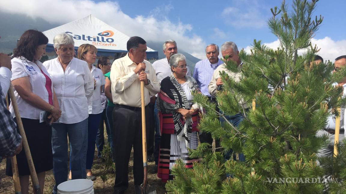 $!Comienza plantación del muro verde en Saltillo