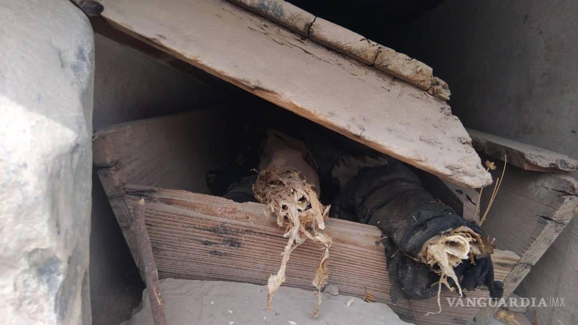 $!Mausoleos que datan del año 1850 presentan daños, lo que ha dejado restos humanos al descubierto.