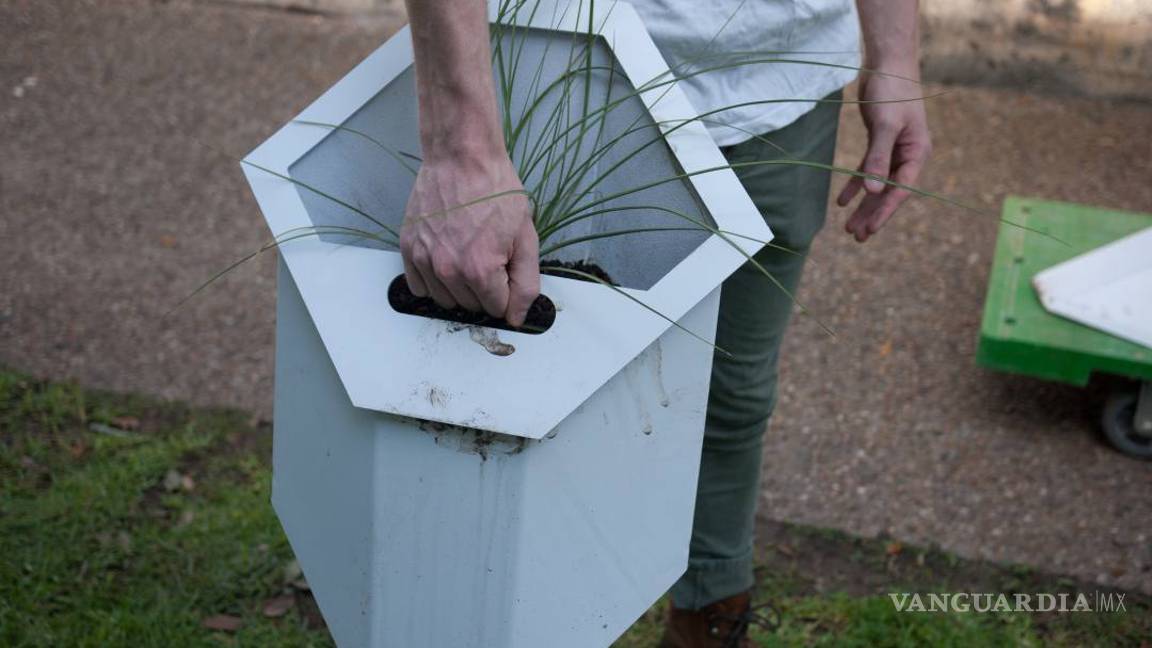 $!Pon a tu casa una piel verde